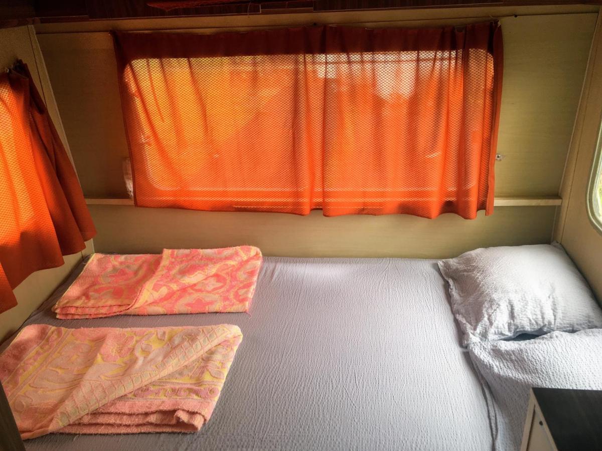 Camping Oaza Bela Crkva  Exteriér fotografie