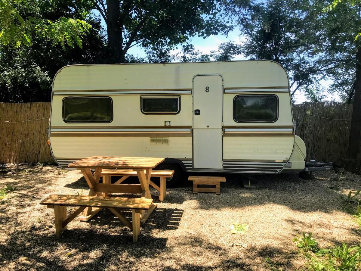 Camping Oaza Bela Crkva  Exteriér fotografie