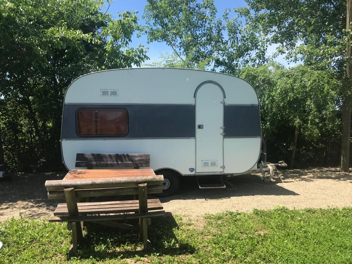 Camping Oaza Bela Crkva  Exteriér fotografie