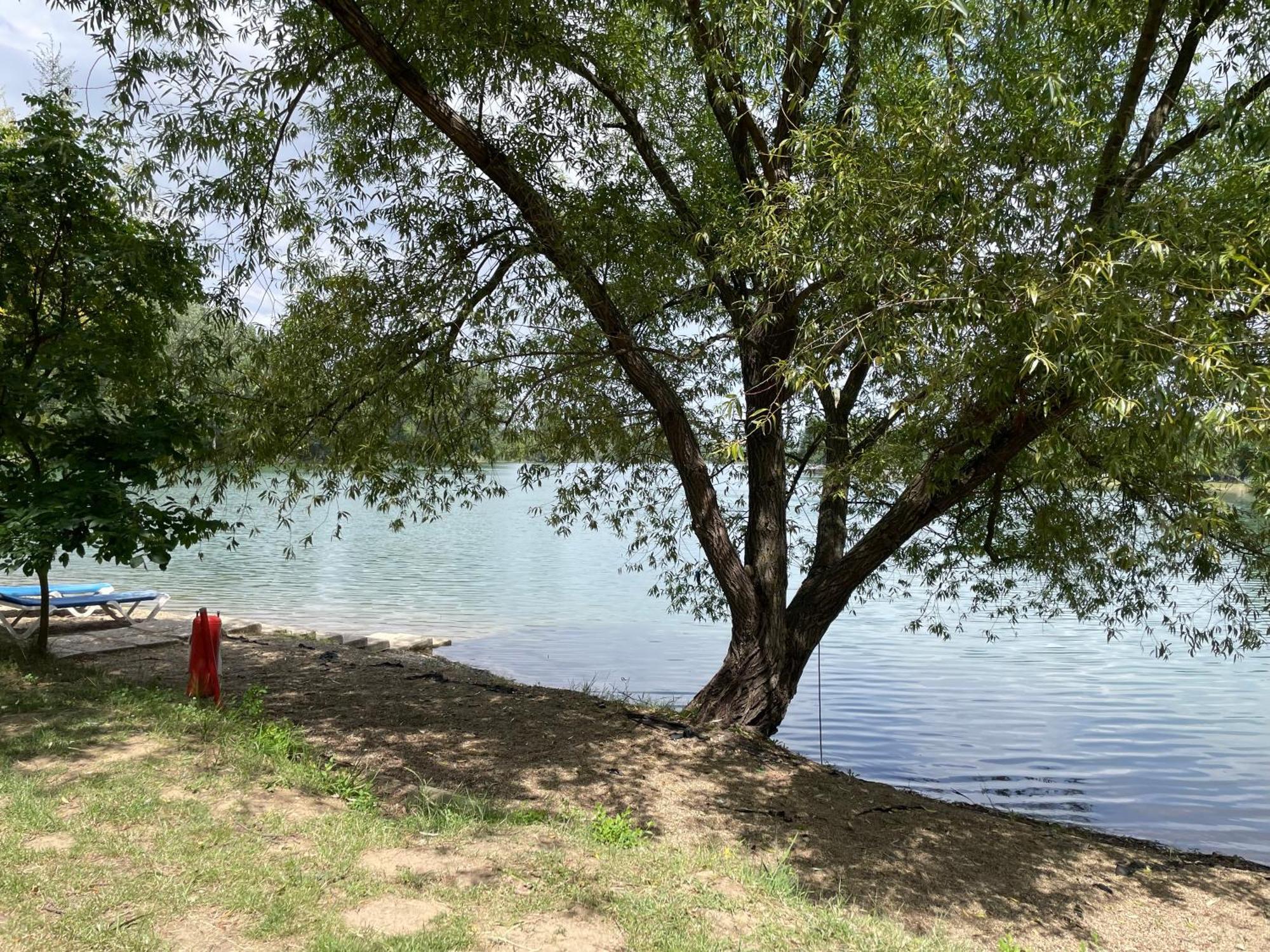 Camping Oaza Bela Crkva  Exteriér fotografie