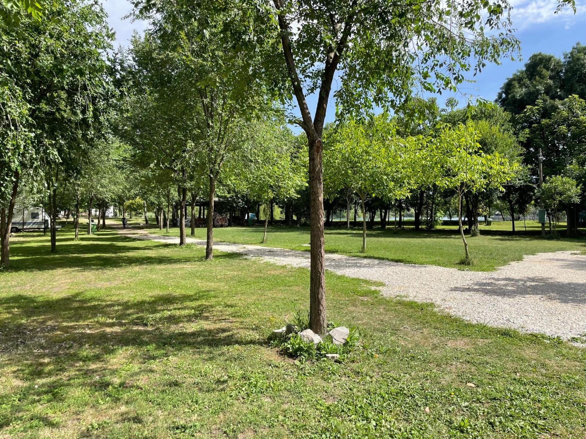 Camping Oaza Bela Crkva  Exteriér fotografie